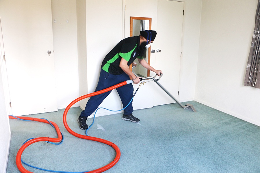 Professional carpet cleaning service in Auckland