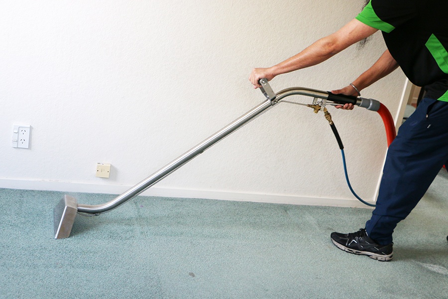 Professional carpet cleaning service Auckland
