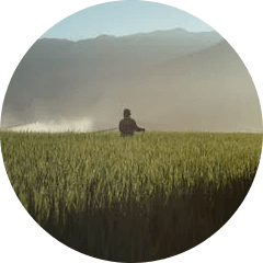 One off spraying -Clean Planet Lawn Mowing