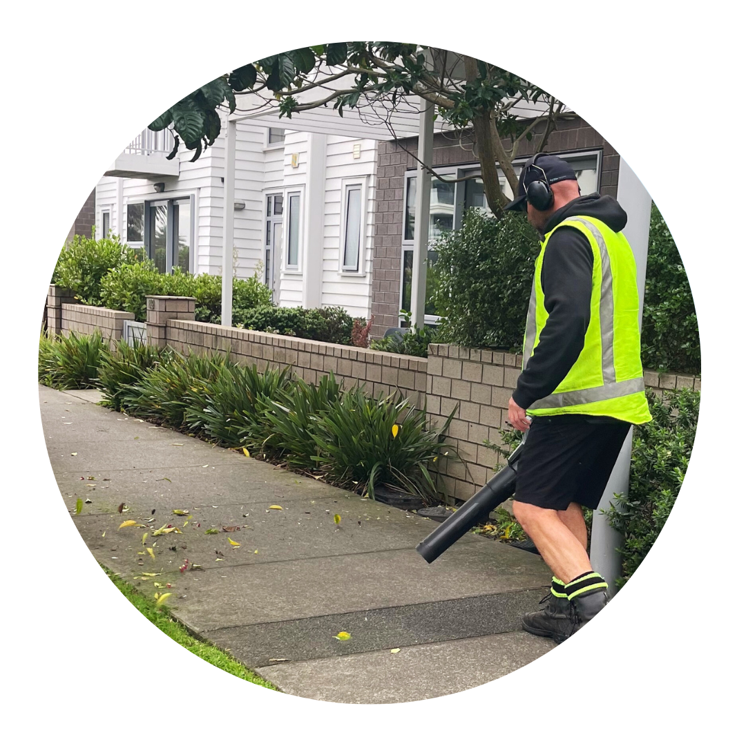 Clean Planet Lawn Mowing - Leaf Blowing service available