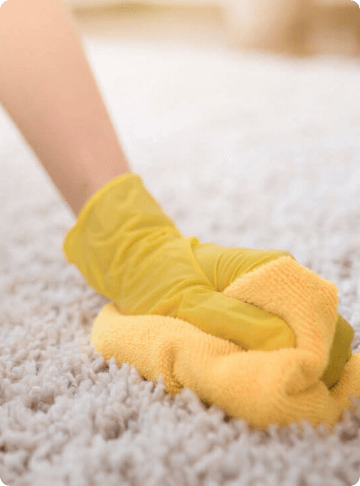 eco-friendly commercial carpet cleaning services 