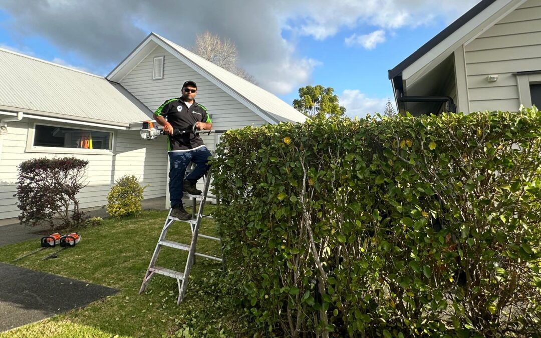 5 Lawn Mowing Mistakes to Avoid This Spring