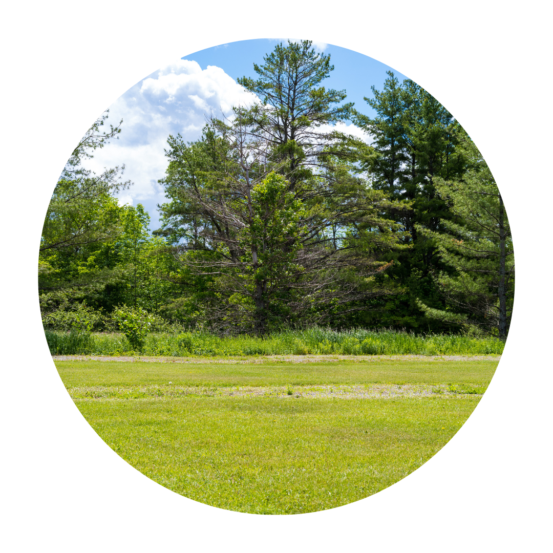 Vacant Lot Lawn Mowing