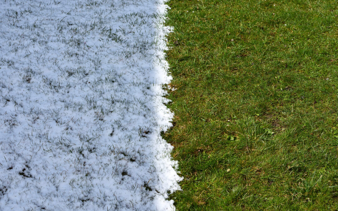 Why it’s the Perfect Time to Prepare Your Lawn for Spring