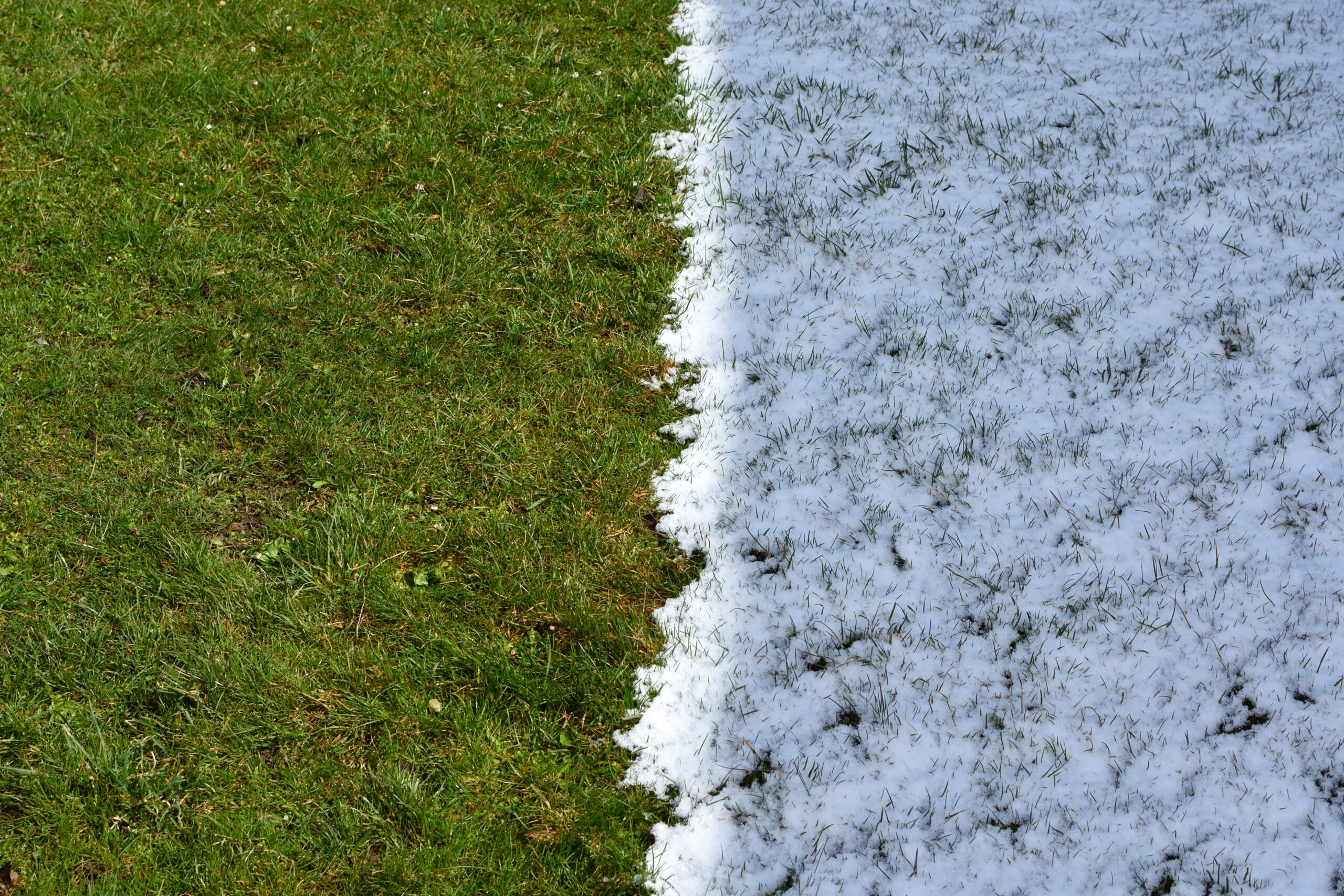 Why it’s the Perfect Time to Prepare Your Lawn for Spring - Clean Planet Grounds care and lawn mowing services